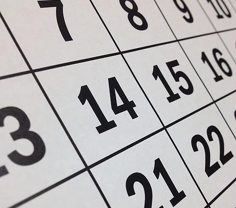 A page of a calendar with white squares and black text