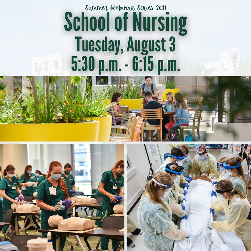 Cover image for SWS: School of Nursing