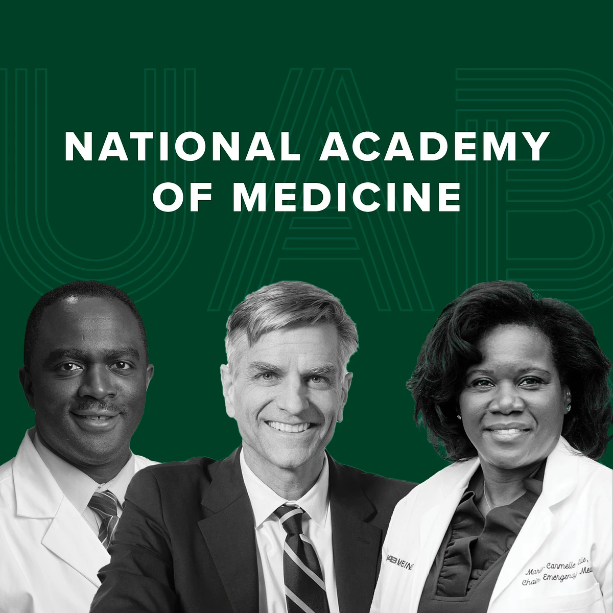 Distinguished faculty members