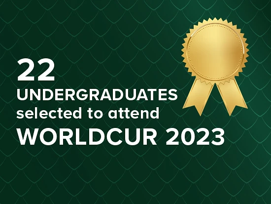 Graphic for award